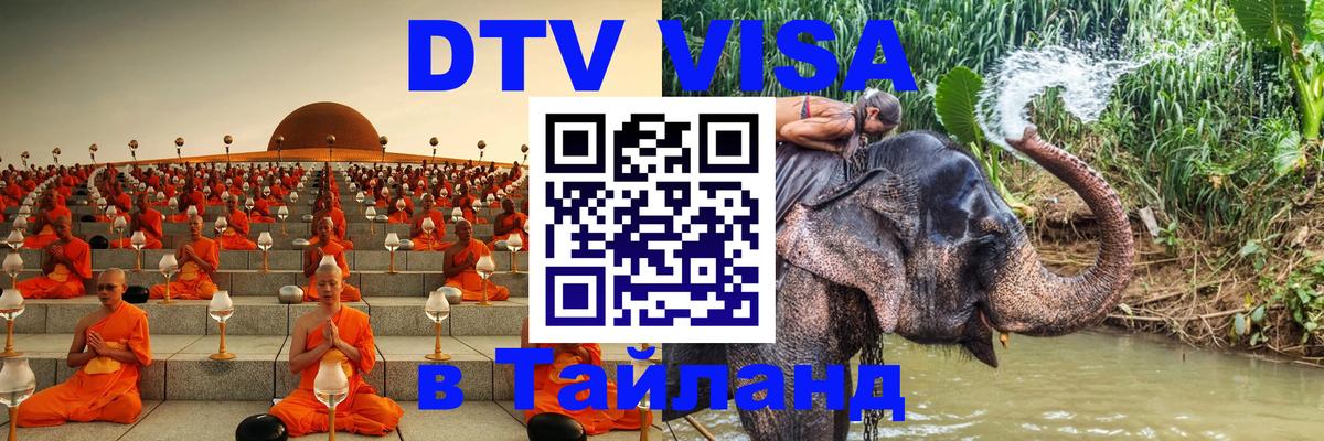 Оформление DTV визы под ключ: стоимость и тарифы, только загранпаспорт - Майкоп  05.10.2025 